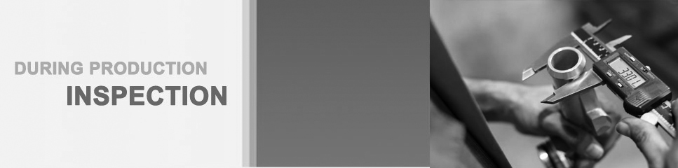 During Production Inspection Singapore